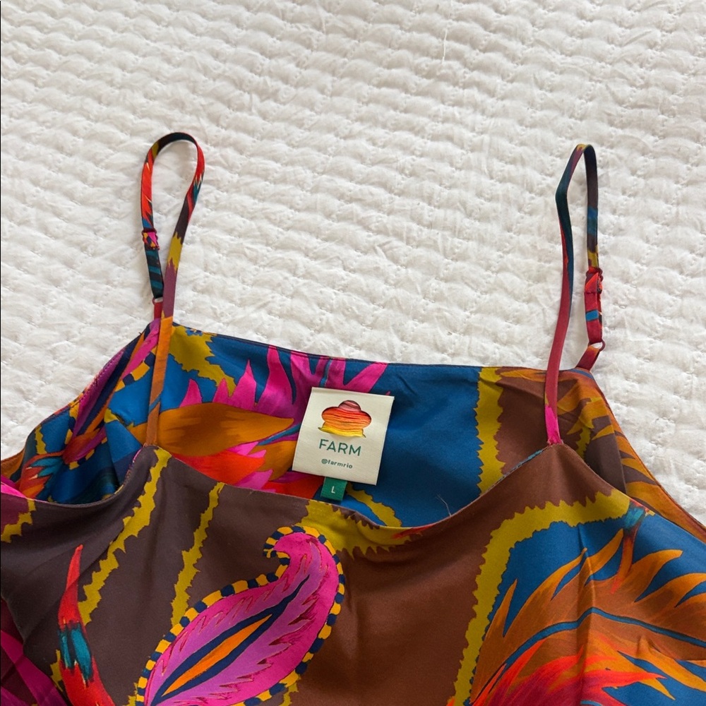FARM Rio Multicolor Floral Maxi Slip Dress - Pink, Blue, Red, Orange, Green - Picture 2 of 2